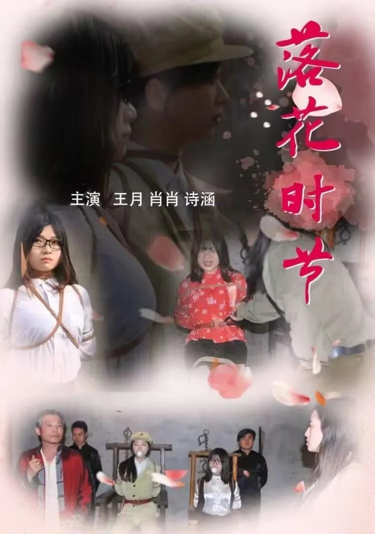 怀旧影视落花时节第三集-2