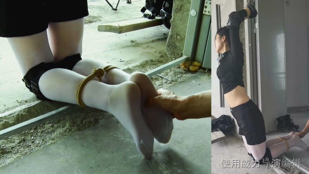 《女侦探蒙难记》（上部）-5