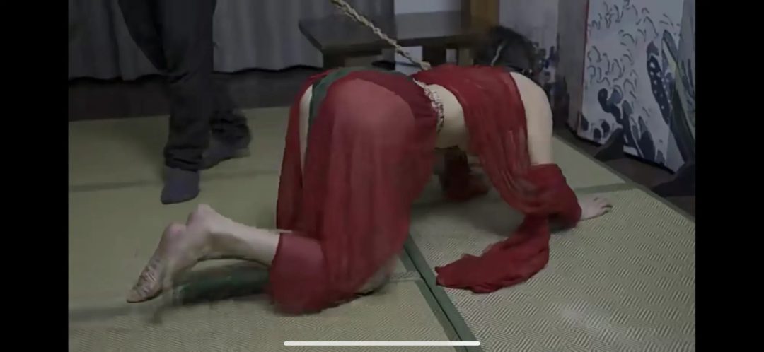 （象人订制）制服*2+内衣 嗷嗷的没落-7