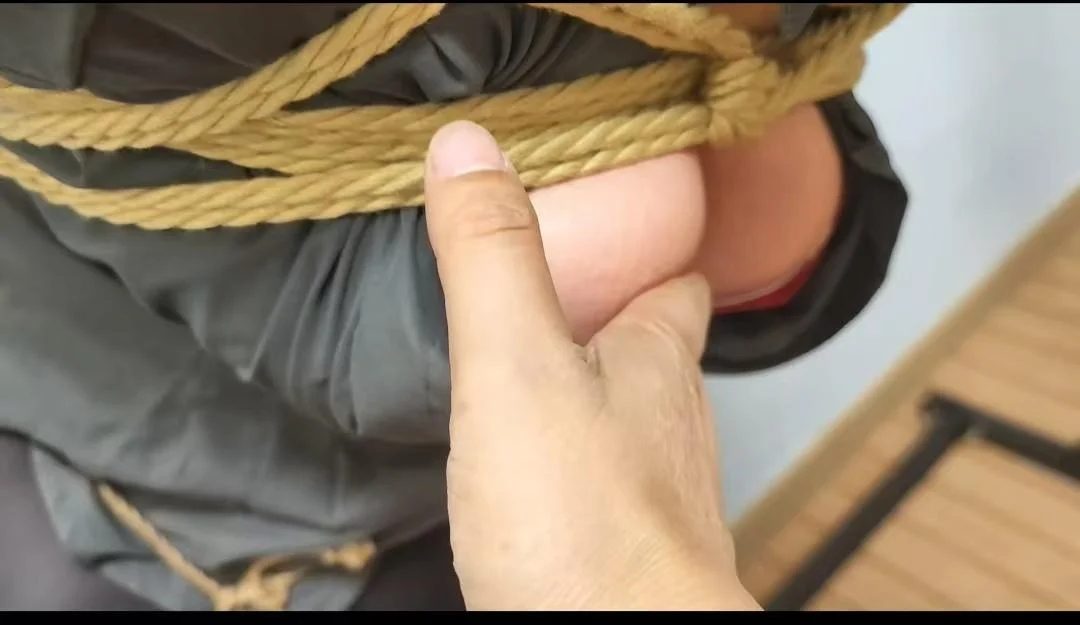 秘书小文被调教-1