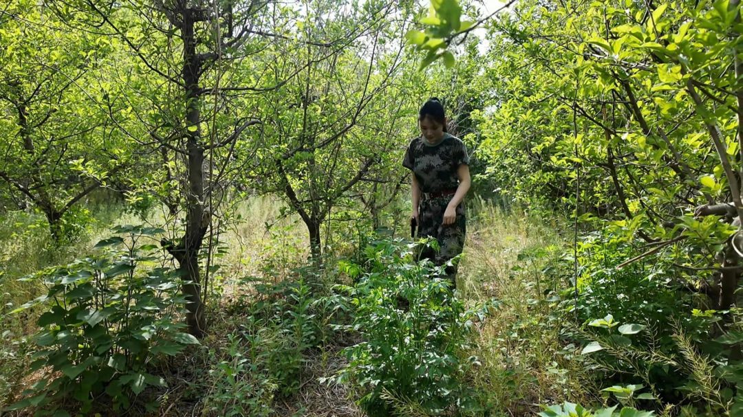 特战队员遭难 老虎凳，吊起来折磨，挠脚心-3