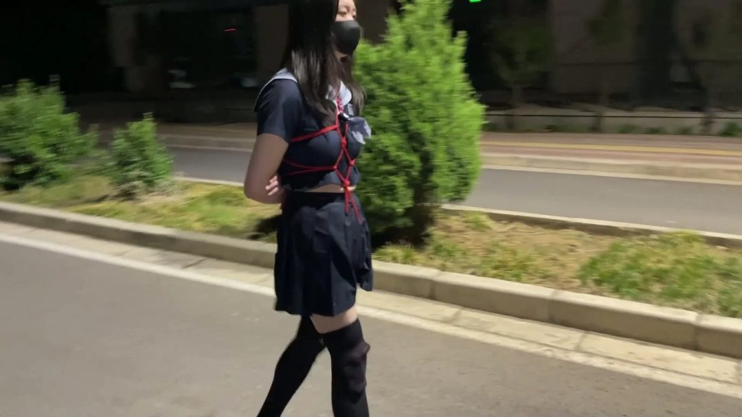 黑丝JK水手服伪娘，龟甲缚后手体验户外伪街郊狼电击-1