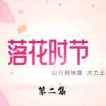 怀旧影视落花时节第二集