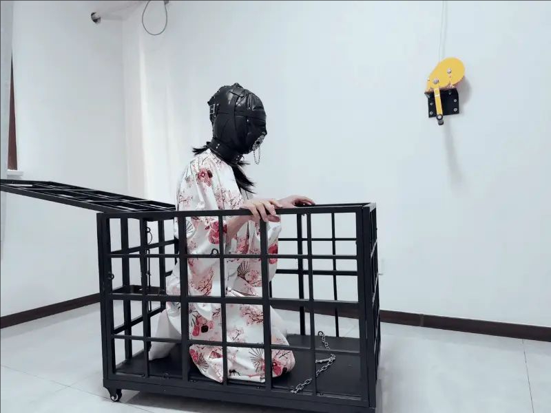 【琪琪】完美复刻house of gord兔笼第二期，绝对禁锢，马具口塞，口水地狱-1