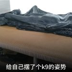 真空床 k9 后手缚