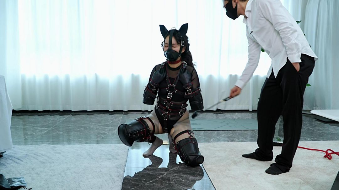 【Raymond】（微剧情）宠物托管员的奇遇（第一集）（人形犬/遛狗/TK/犬立/SP/打脚心/排尿/）-5