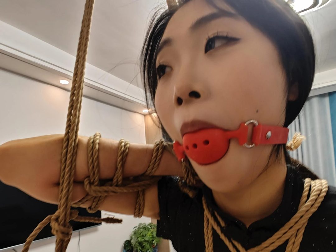 定拍小夏苏秦背剑1-1