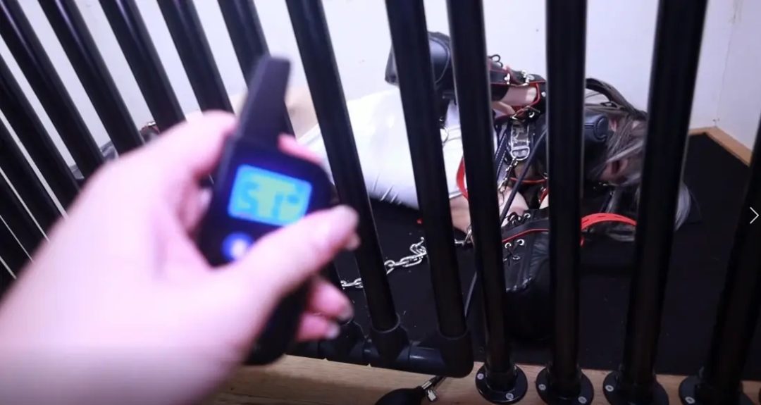 ハイレグヒトイヌ電流電マ-3