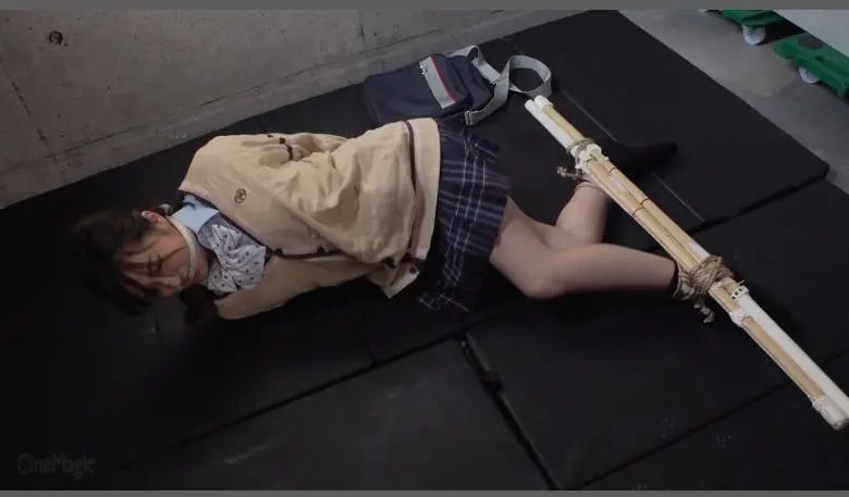 DID猿轡着衣拘束 パンティーの中にバイブを仕込まれ放置される女2-7