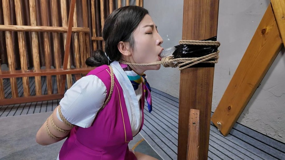 定拍 调教空姐佳佳-6