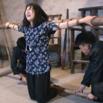 怀旧影视 婉珍 下集