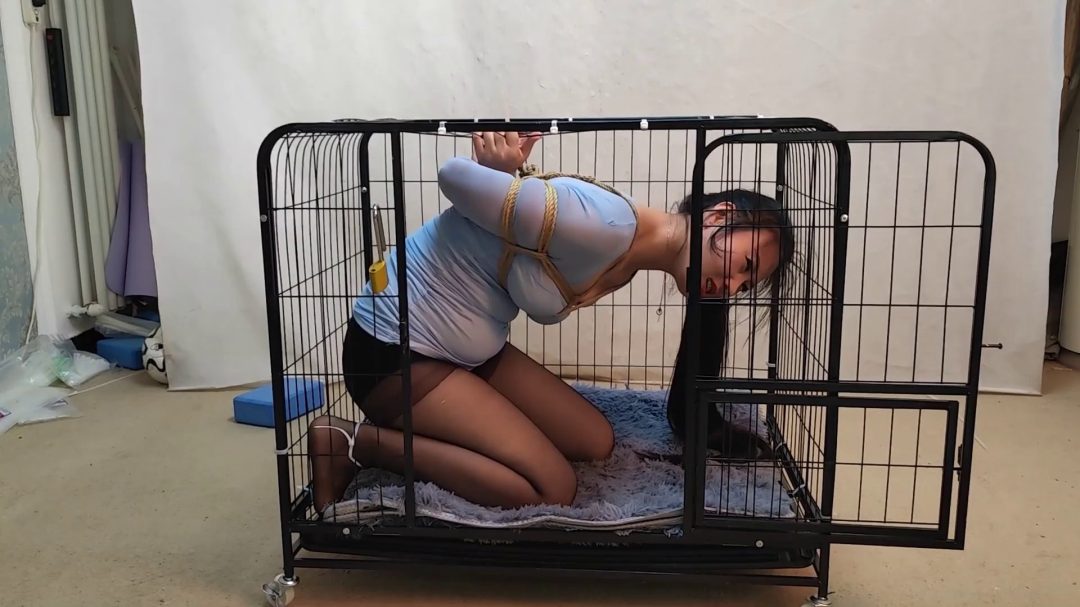 齐玉 丰满异常的少妇蜷缩笼中-3