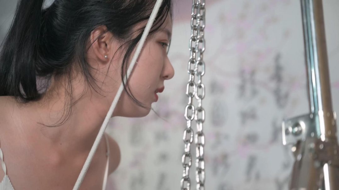 高挑女孩秋千木马责--内衣、白丝、高跟、股刑、踮脚、TK-6