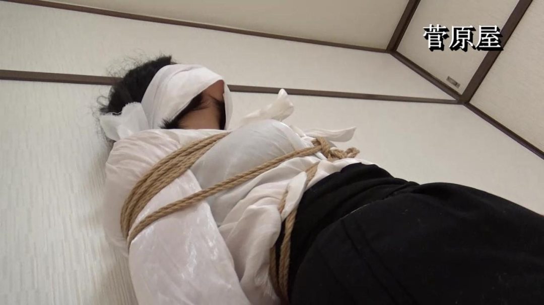 秘书紧缚猿辔系列-3