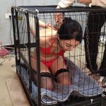 苏樱 笼中美人拳