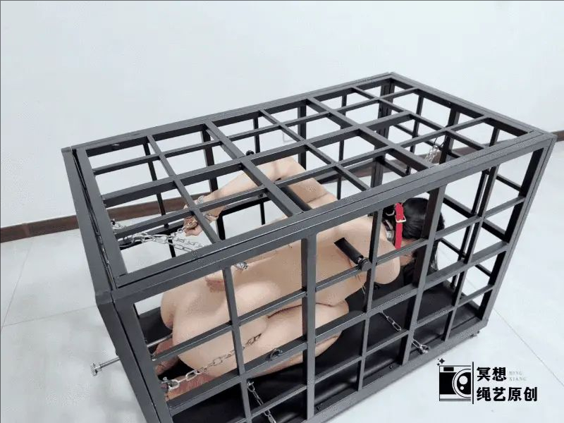 【落叶】完美复刻house of gord家具片中的兔笼-落叶的兔笼初体验-3 【落叶】完美复刻house of gord家具片中的兔笼-落叶的兔笼初体验-3