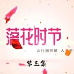 怀旧影视落花时节第三集
