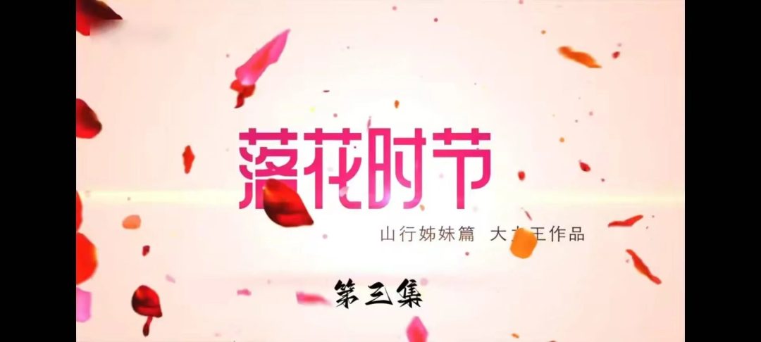 怀旧影视落花时节第三集-1