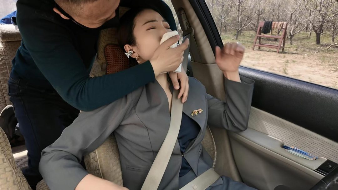 女经理车内捂晕二-2