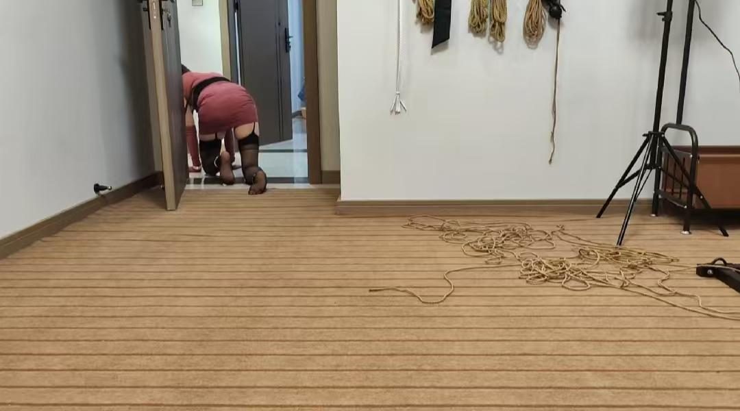 定拍佳佳之金属禁锢-5