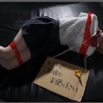 身動き取れない哀れなオンナたちに問答無用でチ●コをぶっ刺す！拘束フェラチオ240分BEST！