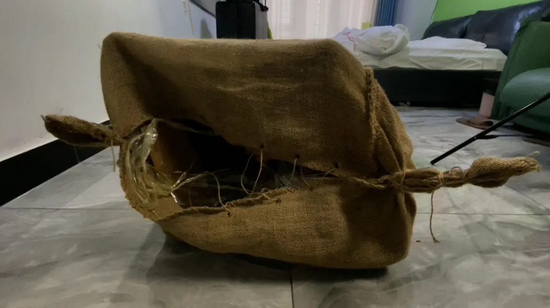 少妇被蒙上眼睛堵住嘴并绑住双手最后被封在密闭空间，看看她是如何在没有外力帮助下挣脱出来的-5
