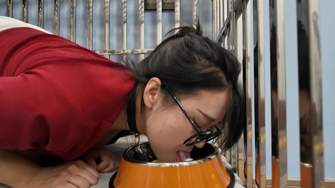 GN训练之小遥下-8
