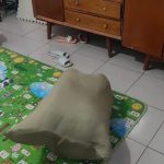 高挑长腿女孩被装进麻袋