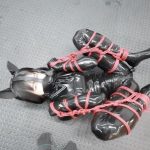 【ヒトイヌ緊縛転がし調教】