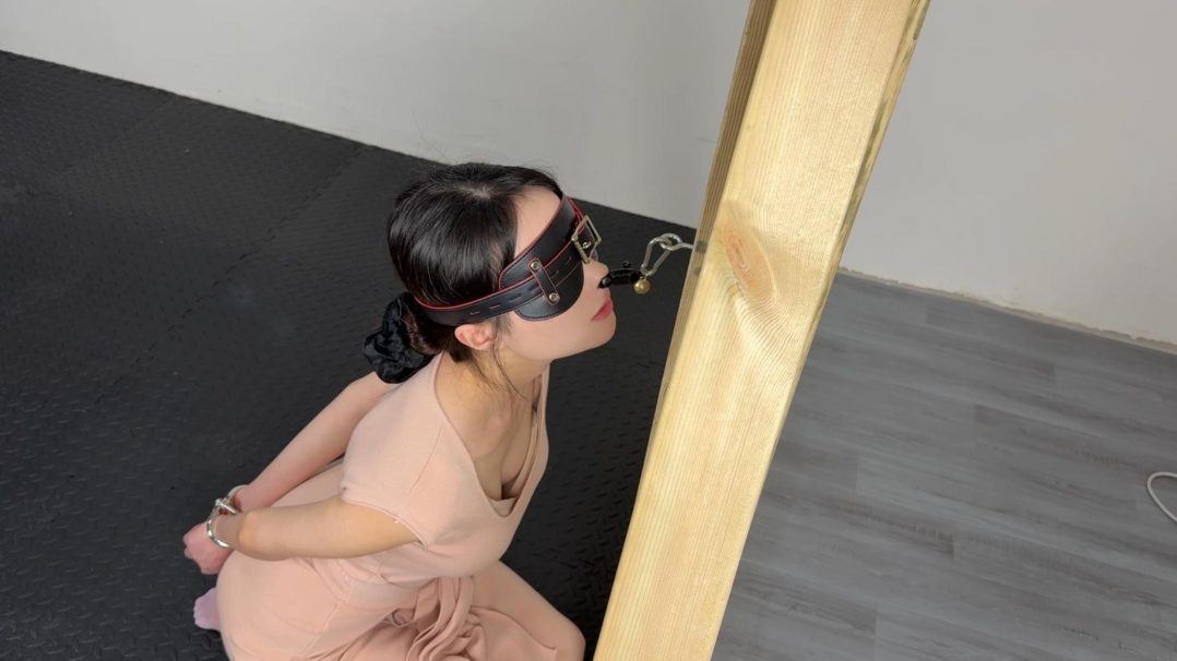 【YM出品】《鼻夹锁狗》-1