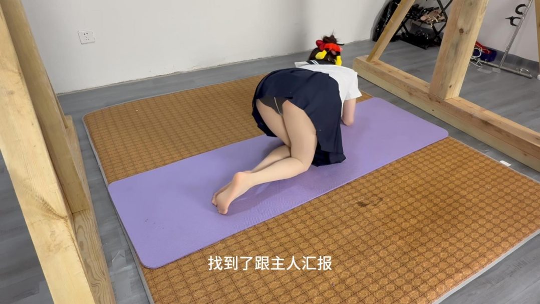 水手服JK+犬调训练+吊鞭-3