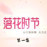 怀旧影视落花时节第一集