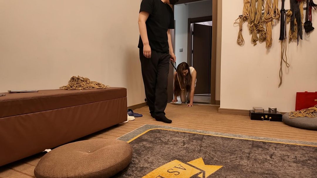情趣白丝TJ 关笼子 罚跪 打屁股-3