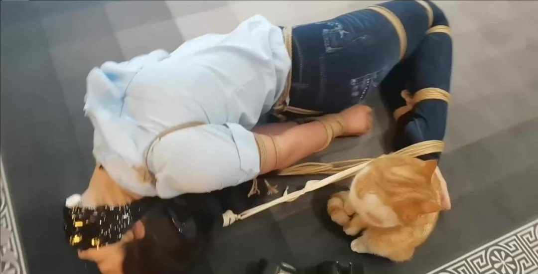讨债不成反被绑-1 讨债不成反被绑-1
