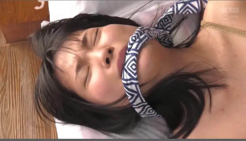 真昼の暴行魔　在宅の娘が…/カップルが…　事件発生-6