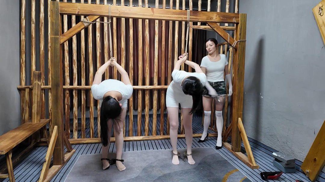 内部审查、特别考验二-6