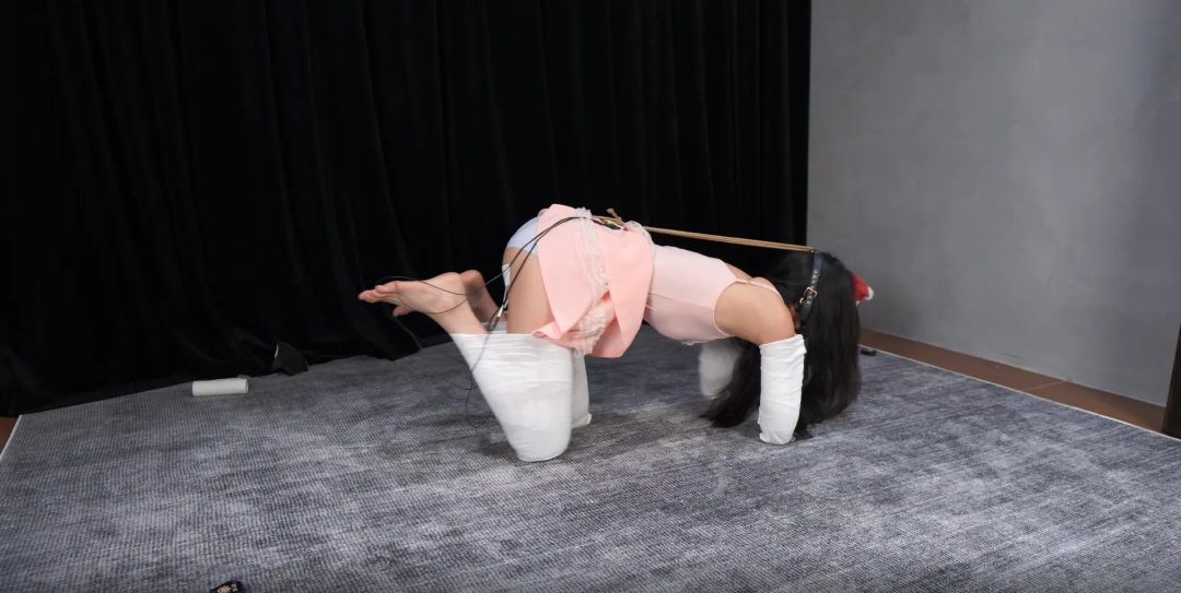 【试炼工作室】【定拍】-倩倩人形犬电击特辑（上）（郊狼100/被电的一直喊疼/膝盖手肘被磨破）-2