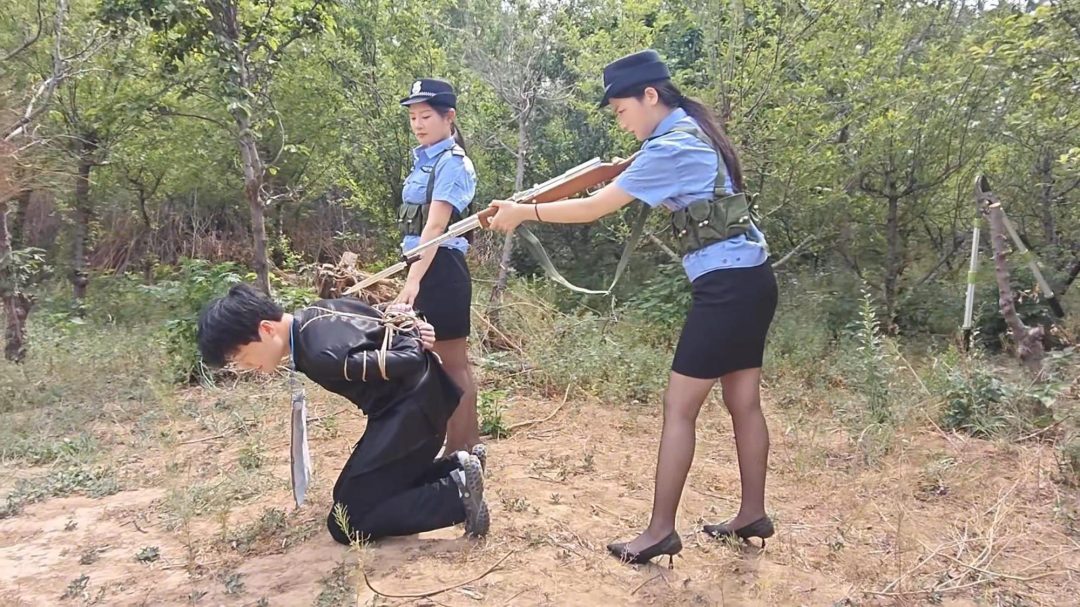 抓罪犯-3