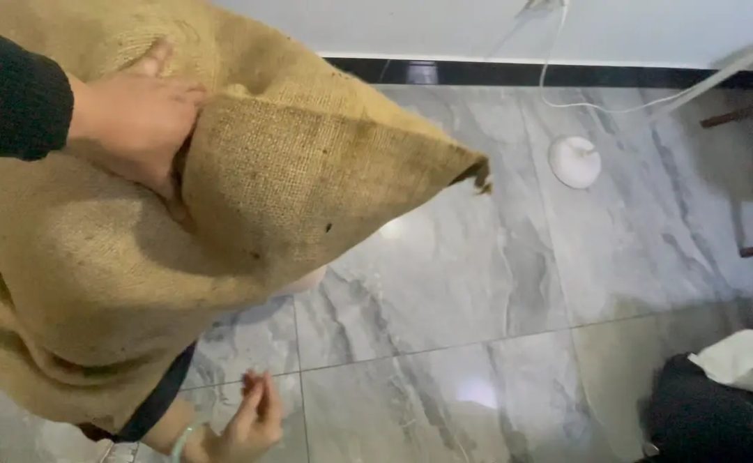 少妇 被塞进皮箱， 套在黑色套袋里 又被套了层麻袋-6