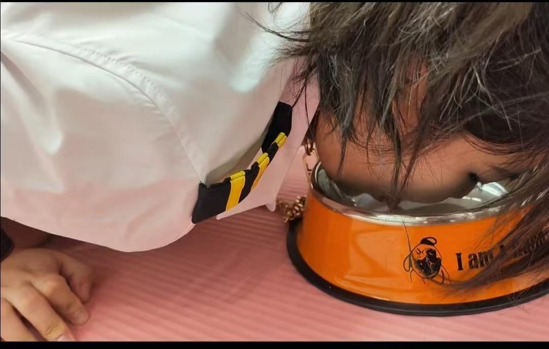 我的秘书我的奴系列之七狗奴调教-9