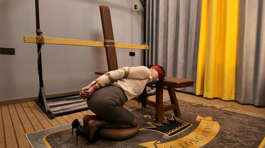 客户体验系列之四中集 口球 欧式紧缚-6