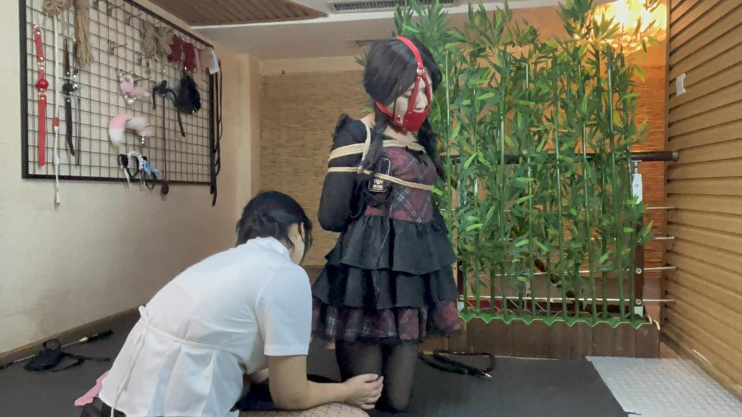 【悦感日记】老板娘这次化身女S，调J来店的超好看的美女“小姐姐“,郊狼/K9/羞辱-3