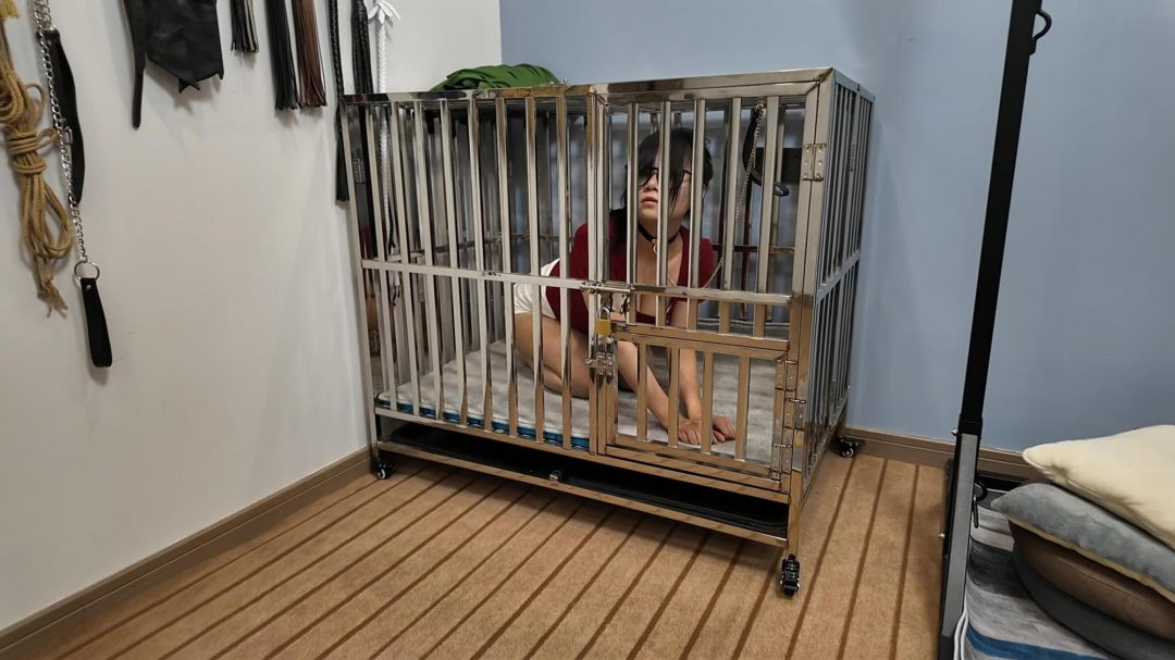 GN训练之小遥上 GN训练 姿势训练 犬姿训练-4