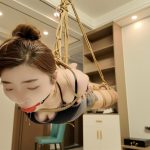 佳佳驷马悬吊