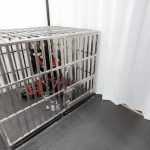 【水着拘束引き回し】