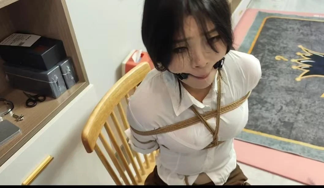 小夏定拍-1