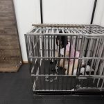 【ベビー服羞恥拘束調教】