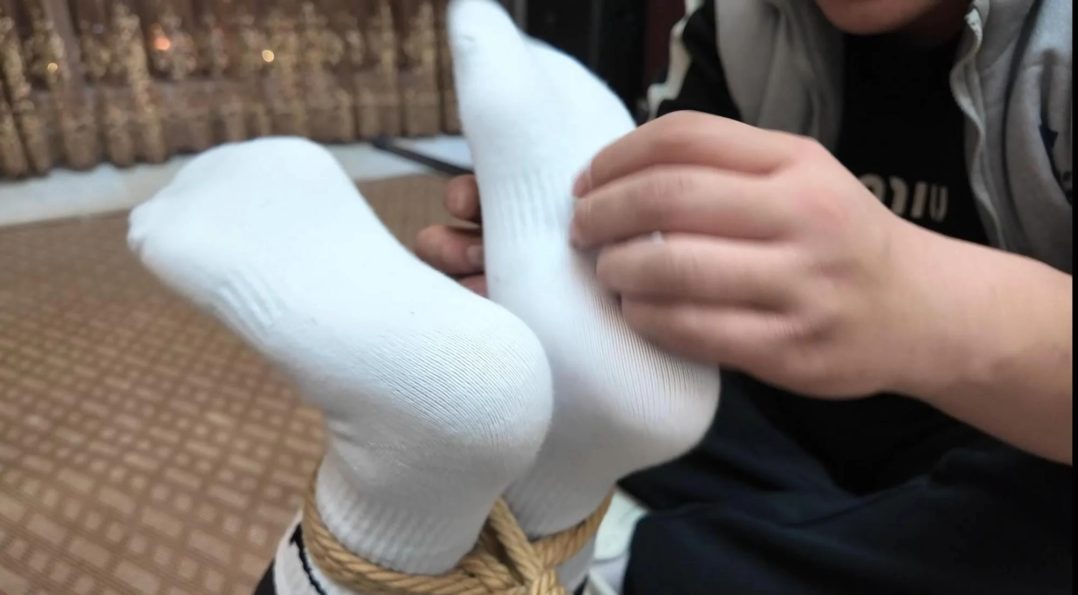 不劳而获之盗(下)-2 不劳而获之盗(下)-2