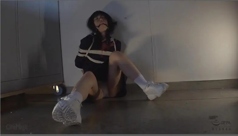 着たまま拘束DID 囚われて恥辱に蠢く女つばめ-2