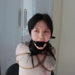 DID情节片 房东的秘密②